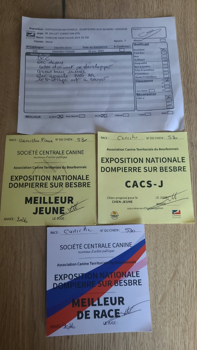 1ère Expo Antoinette catégorie Jeune (9 à moins de 18 mois)